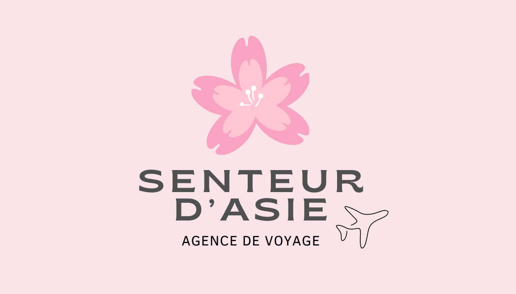 SAé Voyage 1